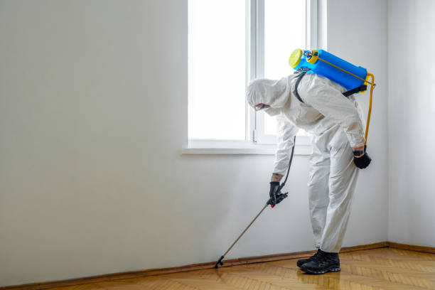 Best Termite Inspection and Treatment  in Marysville, WA